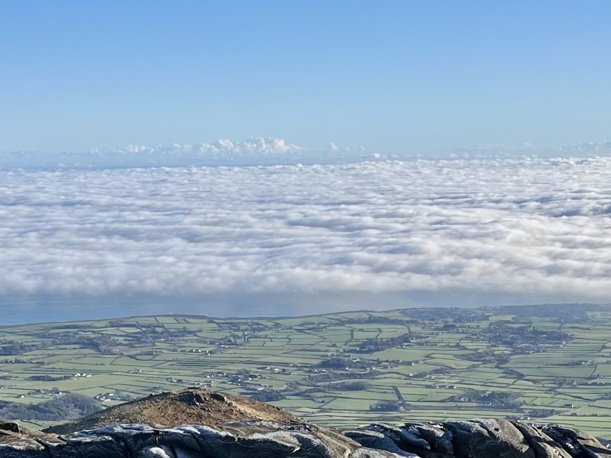 Cultivating ‘calm’.